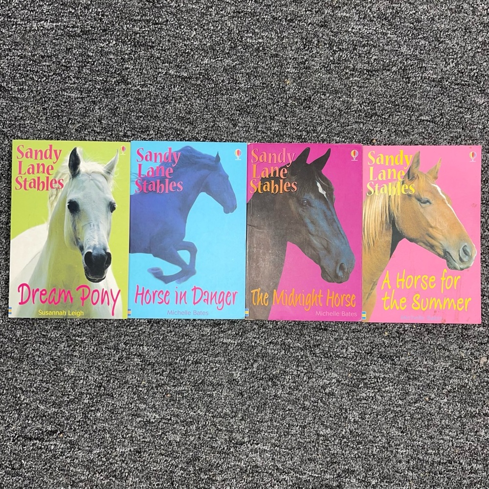 Sandy Lane Stables Series Books